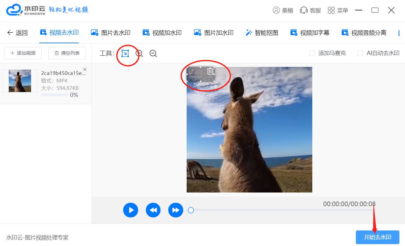 水印云视频一键去水印方法