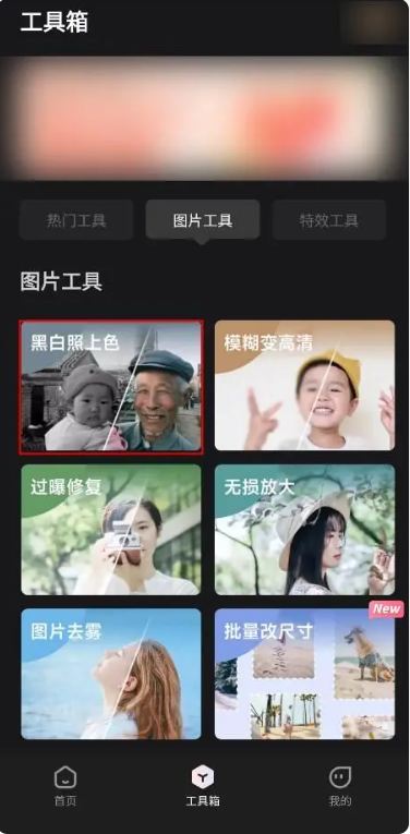 黑白照片上色