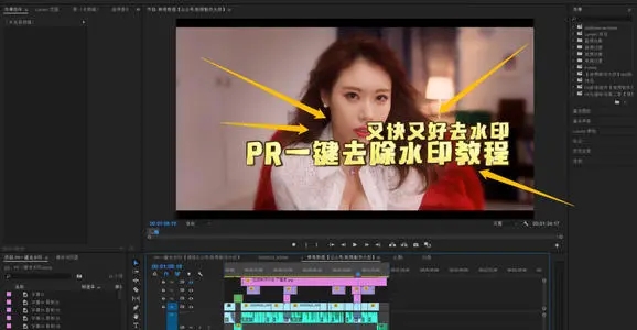 PR如何去视频里面的水印(附视频教程)
