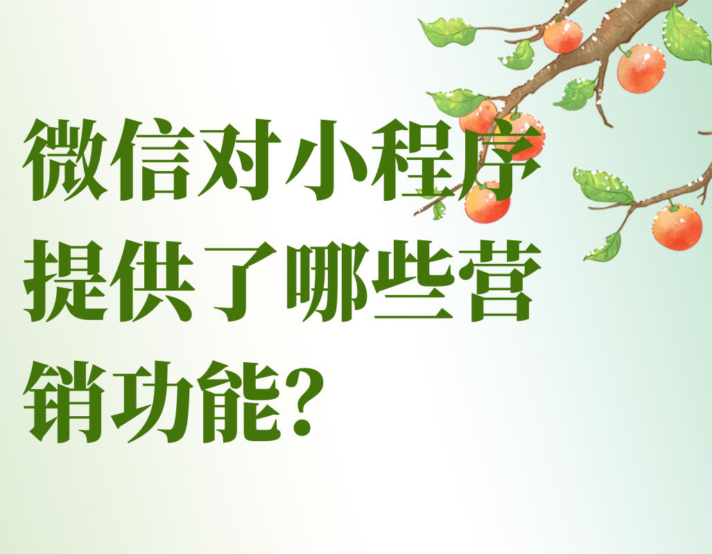 水印云谈及微信对小程序提供了哪些营销功能？