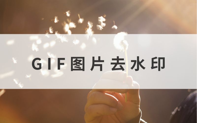 GIF图片去水印,轻松享受动态之美