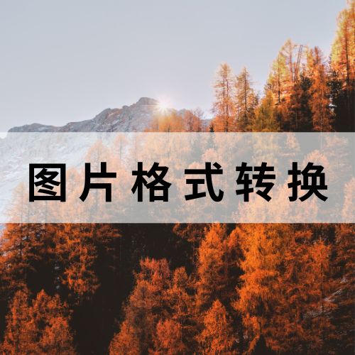 掌握图片格式转换技巧,轻松应对不同需求