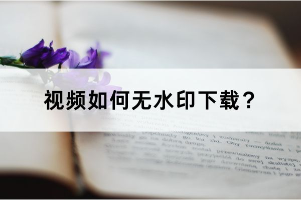 怎么在b站下载无水印视频?三个方法教给你