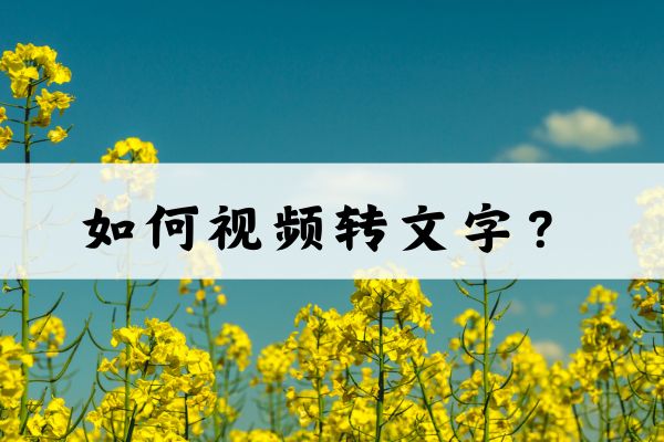 如何视频转文字?推荐两种视频转文字方法