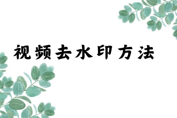 视频去水印方法来了,教你几招轻松去视频水印